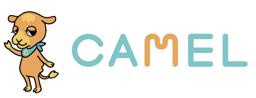 CAMEL logo